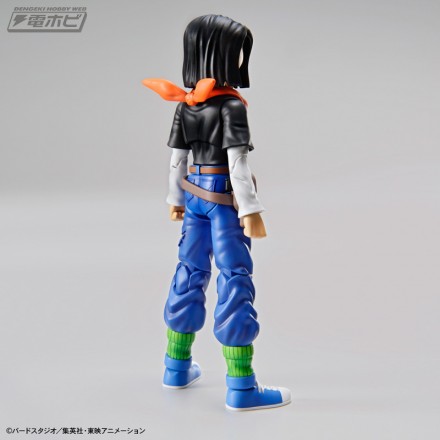 fgs_android17_10[1]