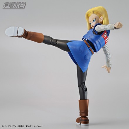 fgs_android18_3[1]