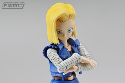 fgs_android18_5[1]