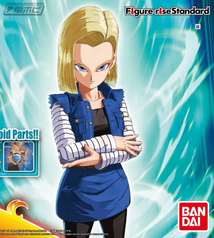 fgs_android18_PAC_[1]