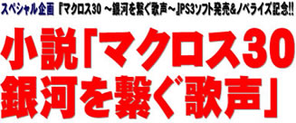 スペシャル企画 『マクロス30 ～銀河を繋ぐ歌声～』PS3ソフト発売＆ノベライズ記念！！ 小説「マクロス30 銀河を繋ぐ歌声」