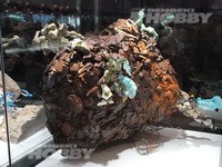 sGBWC2013_04