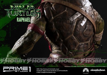 RAPH14