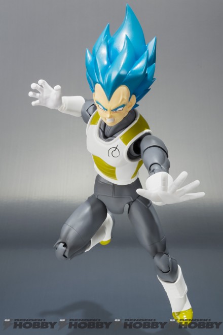 SHF_Vegeta_20151016_01