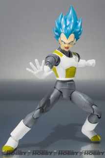 SHF_Vegeta_20151016_02