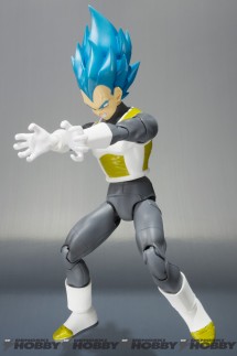 SHF_Vegeta_20151016_03