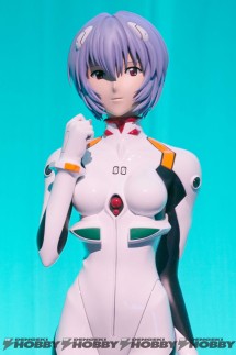 eva_figure_04