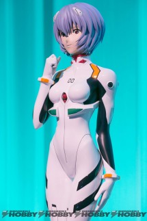 eva_figure_06