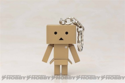 GZ881_DANBOARD KEYHOLDER_pass (1)