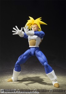 SHF_Trunks_20151225_02