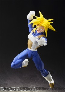 SHF_Trunks_20151225_03