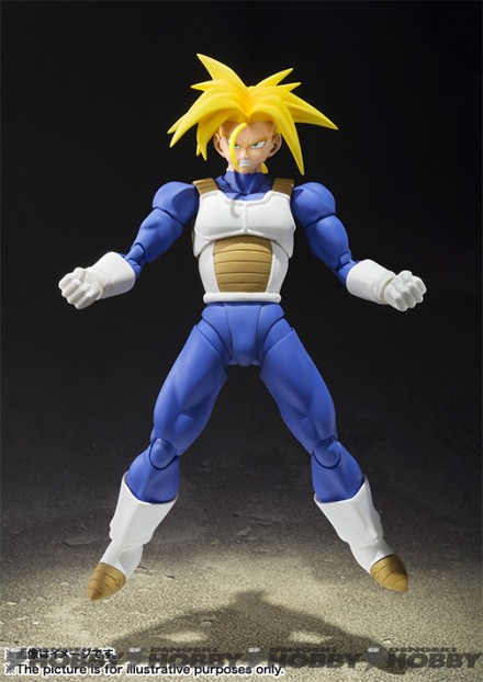 SHF_Trunks_20151225_04