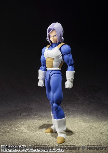 SHF_Trunks_20151225_05