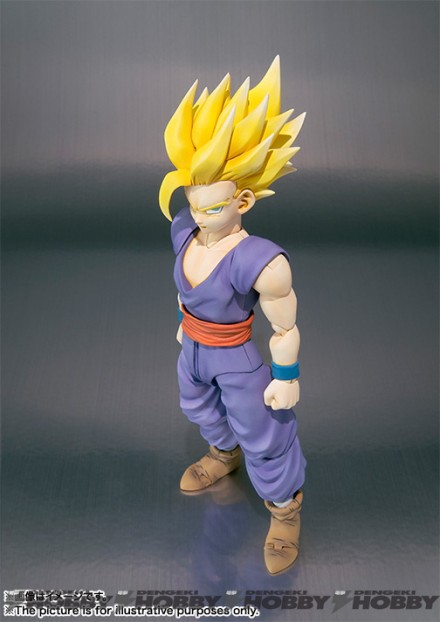 SHF_gohan_20151225_01