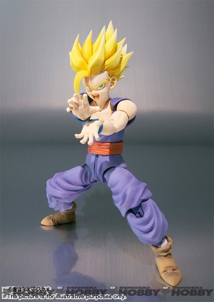 SHF_gohan_20151225_04