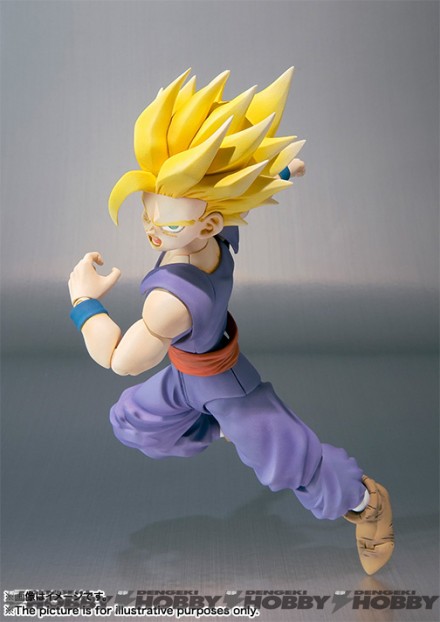 SHF_gohan_20151225_05