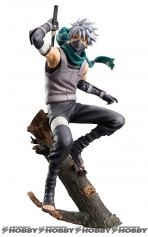 gem_kakashi_151217_07