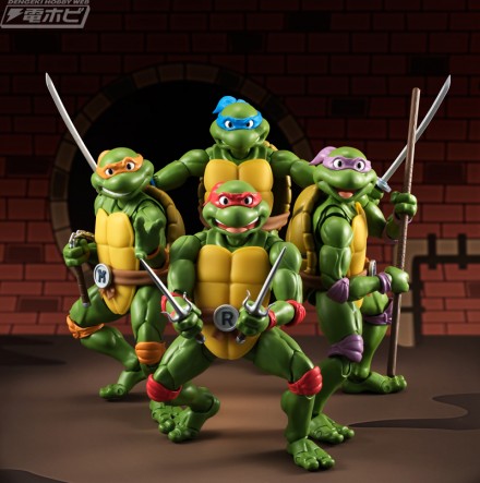 SHF_turtles_20160209