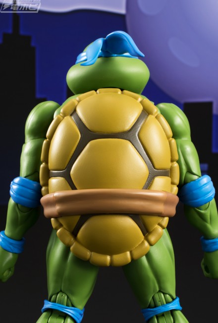 SHF_turtles_leonardo_06