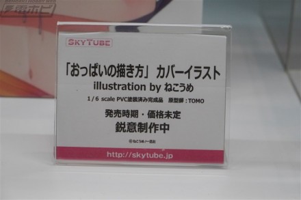 SKYTUBE0000023