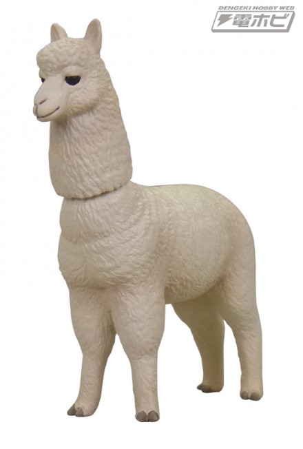 alpaca