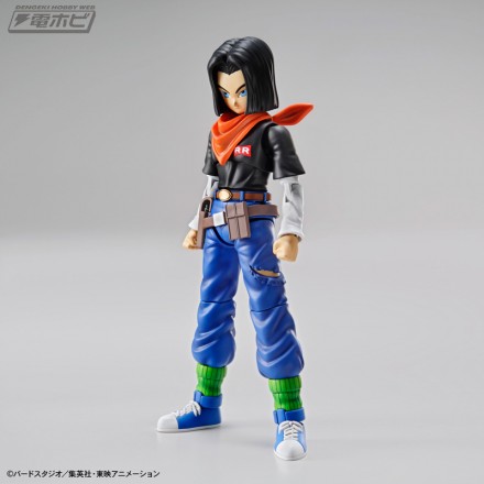 fgs_android17[1]