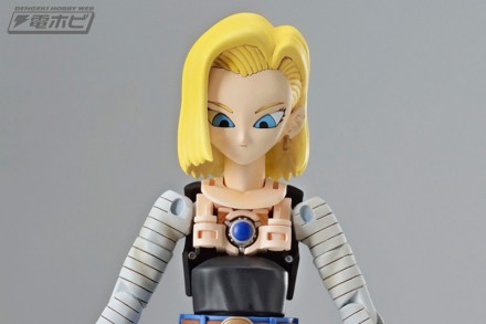 fgs_android18_7[1]