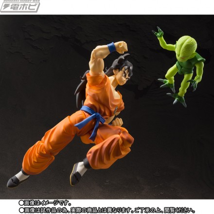 shf_yamucha_06