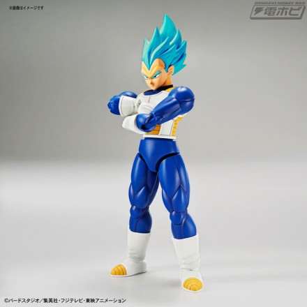 frs_got_vegeta_01m[1]