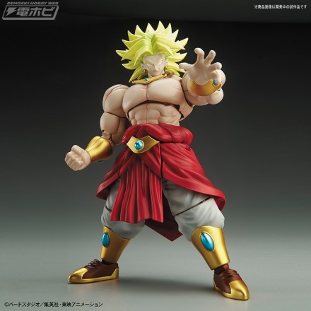 frs_broly_01m[1]