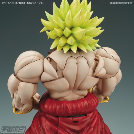 frs_broly_05[1]