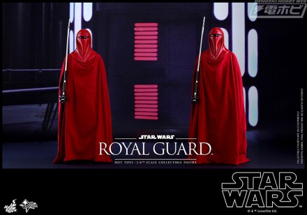 07_HotToys_SWEP6_RoyalGuard