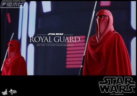 08_HotToys_SWEP6_RoyalGuard