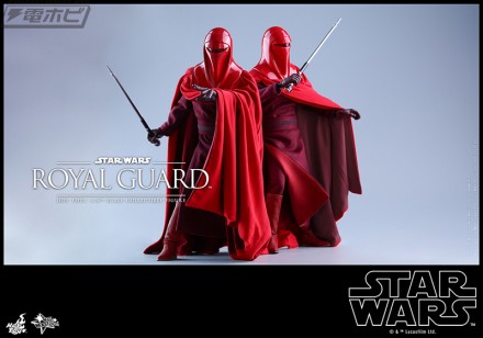 09_HotToys_SWEP6_RoyalGuard