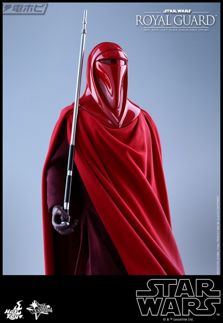 10_HotToys_SWEP6_RoyalGuard