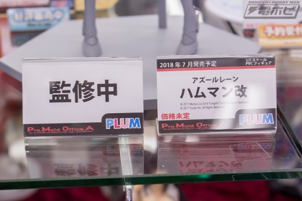 2018akiba5figure12bf1 (33)