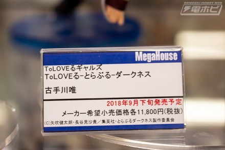 2018akiba6figure23sbf (22)