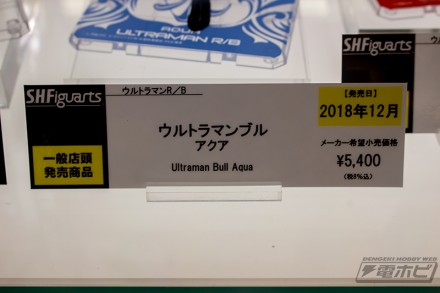 2018akiba8figure18rf1 (46)