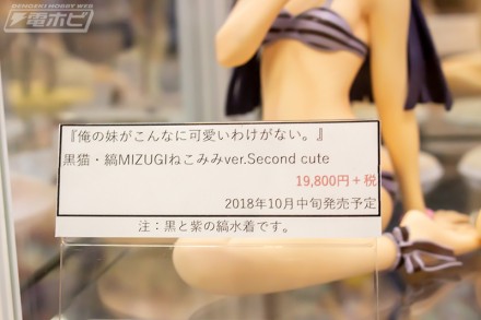 2018akiba9figure22bf2 (21)