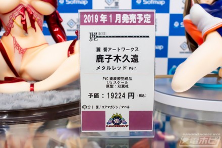 2018akiba1figure0g1k9f2 (3)