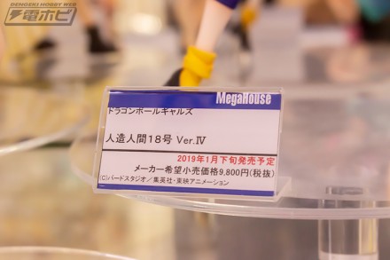 2018akiba1figure1g0k9br1 (11)