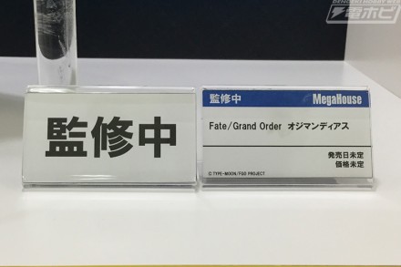 agf2018_megahouse_08