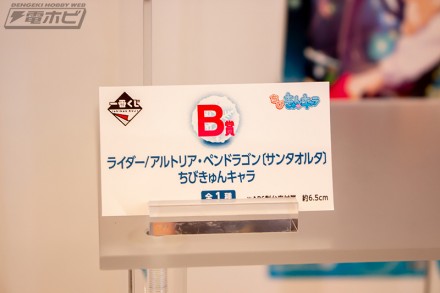 2018akiba1figure2f1b5f2 (20)