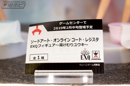 2019akiba0figure1f1k8bp0 (11)