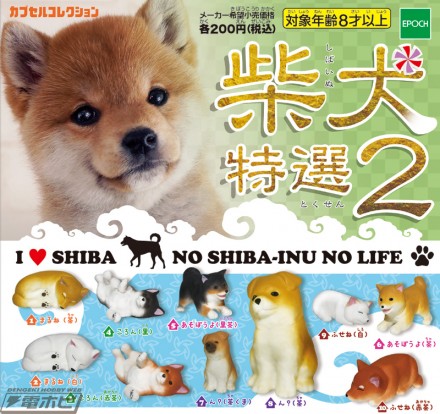 shiba_DP_1