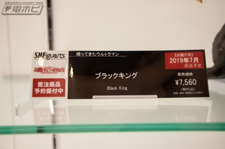 2019akiba0figure2f0k1tnf62 (29)