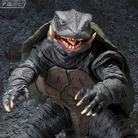 shm_gamera_190308_01