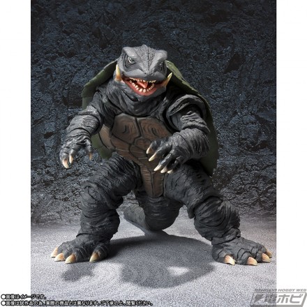 shm_gamera_190308_02