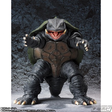 shm_gamera_190308_03