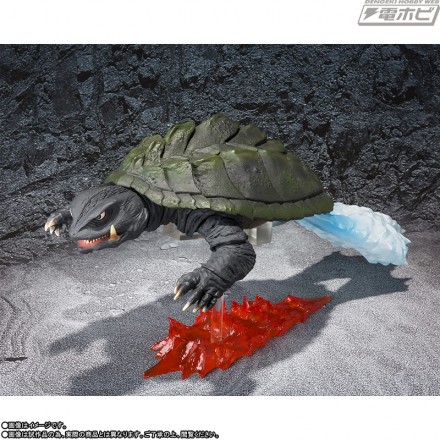 shm_gamera_190308_05